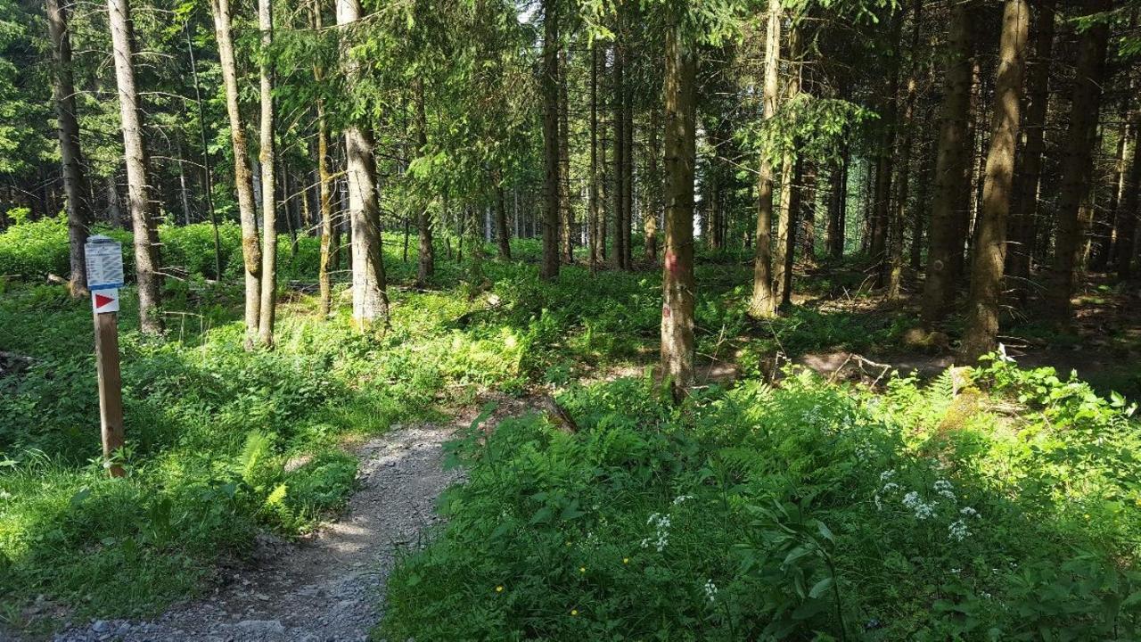 Ferienwohnung Little Home In Winterberg-Neuastenberg Экстерьер фото